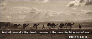 DESERT QUOTES