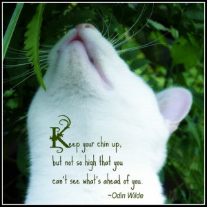 Pet Quotes I Love 2