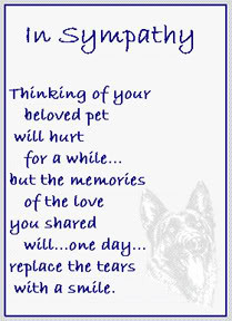 ... Of Your Beloved Pet Will Hurt For A While… – Pet Sympathy Cards