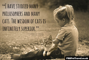 cat quote 7