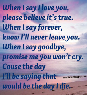 forever, know I'll never leave you. When I say goodbye, promise me you ...