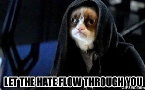 MEME – Grumpy cat