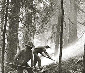 ... fireline on smoky forest hillside. Courtesy of USDA Forest Service