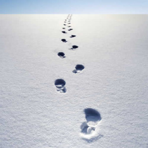 footprints in snow