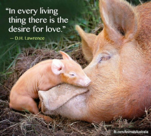 In every living thing there is the desire for love.