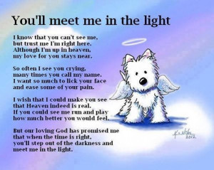 Loss Of A PetTrav'Lin Lights, Rainbows Bridges, So Sweets, Pets, Art ...