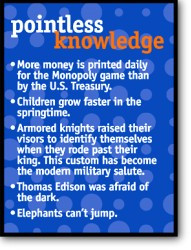 Pointless Knowledge Fridge Magnet