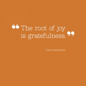 The root of joy is gratefulness.