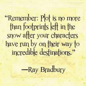 remember: plot is no more than footprints left in the snow after you ...