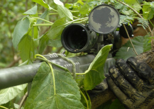 Scout Sniper Photo