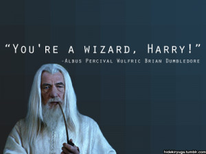 Funny Quotes Famous Albus