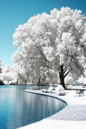 winter wonderland inspiration