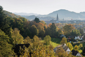 Germany 39 s Black Forest