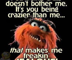 Animal Muppet Quotes