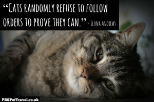 cat quote 8