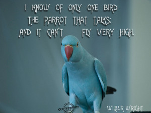 Bird quotes sayings, bird quotes and sayings