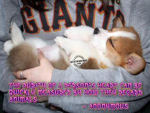 Animal Quotes Graphics, Pictures