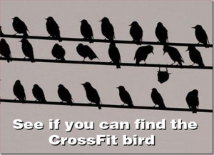 ... fun if we get a good thread of funny or inspirational crossfit related