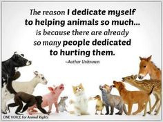 Animal quotes and animals lovers' quotes