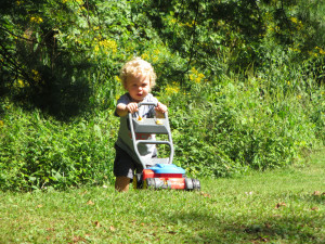 Lawn Mowing Photo Picture