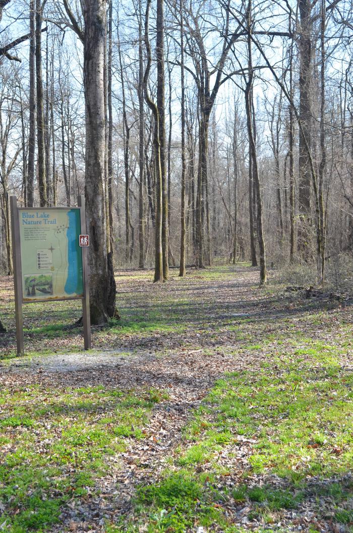 Blue Lake Boat Ramp Picnic Area 2TRAIL HEAD