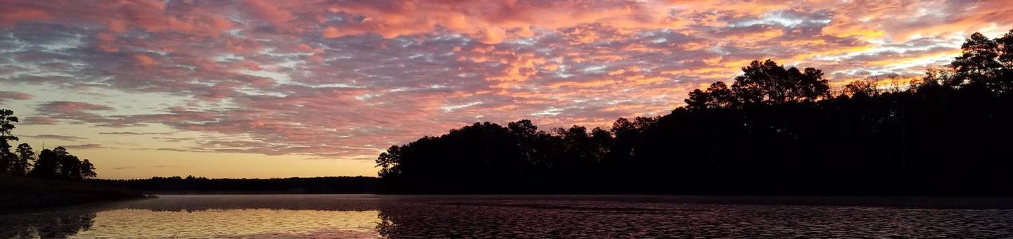 National Forest in Mississippi 