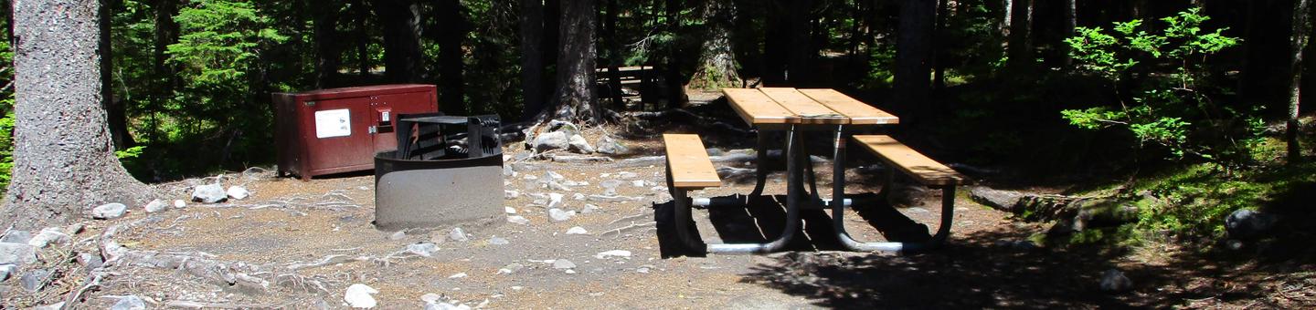 Picnic Table, Fire ring, and Bear box