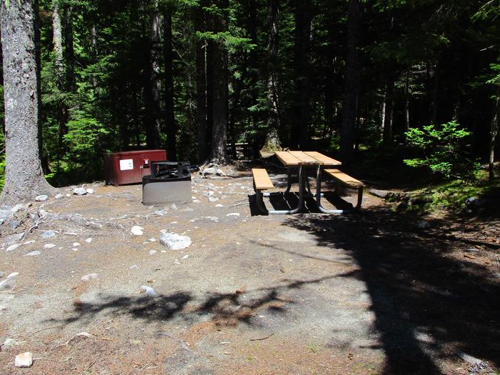 Picnic Table, Fire ring, and Bear box