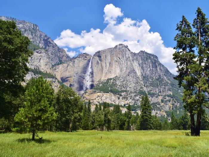 Peak Hour Plus Reservations, Yosemite National Park Ticketed Entry