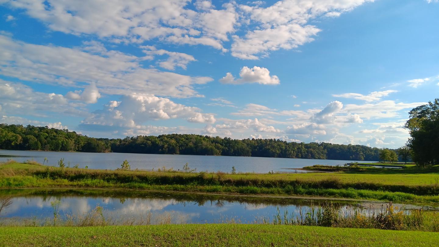 Davis Lake view of the lake