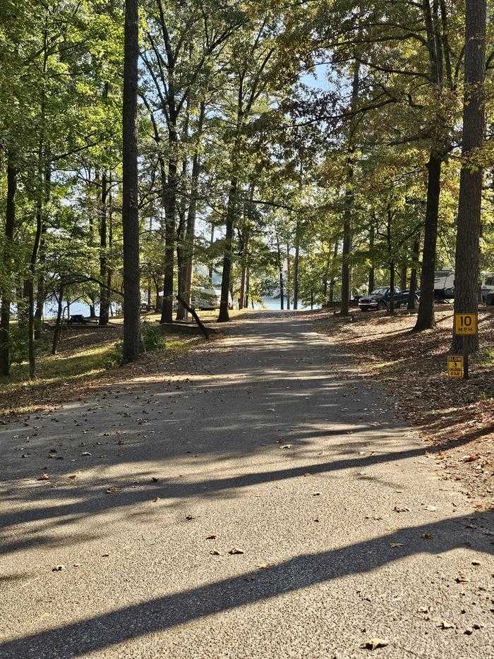 Davis Lake roadway into the shaded sitesroadway into the shaded sites