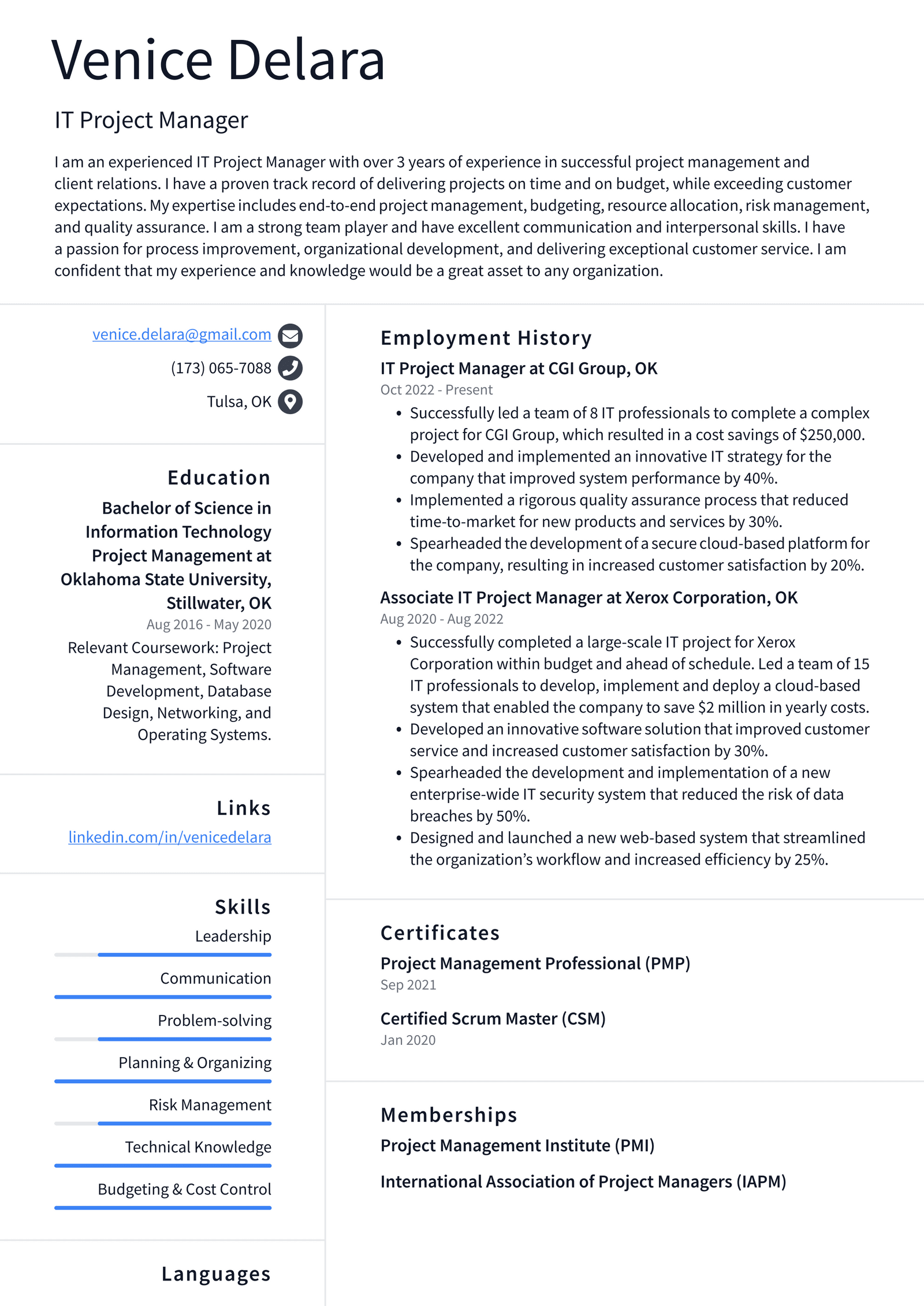 Project Manager Resume Examples 2024 - Viv Lilith