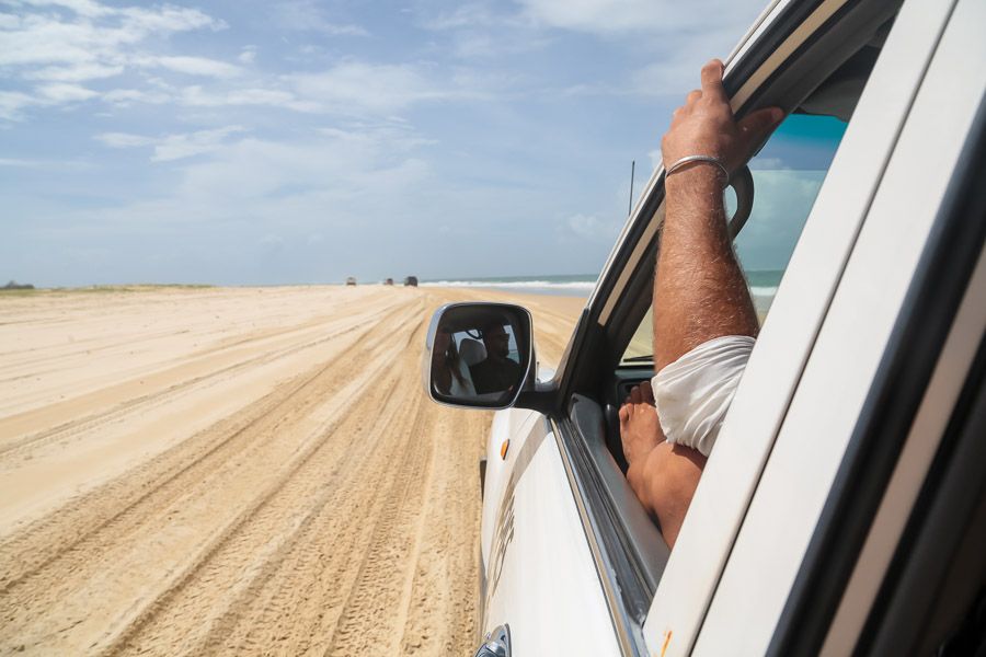 Dingoes 4WD driving 