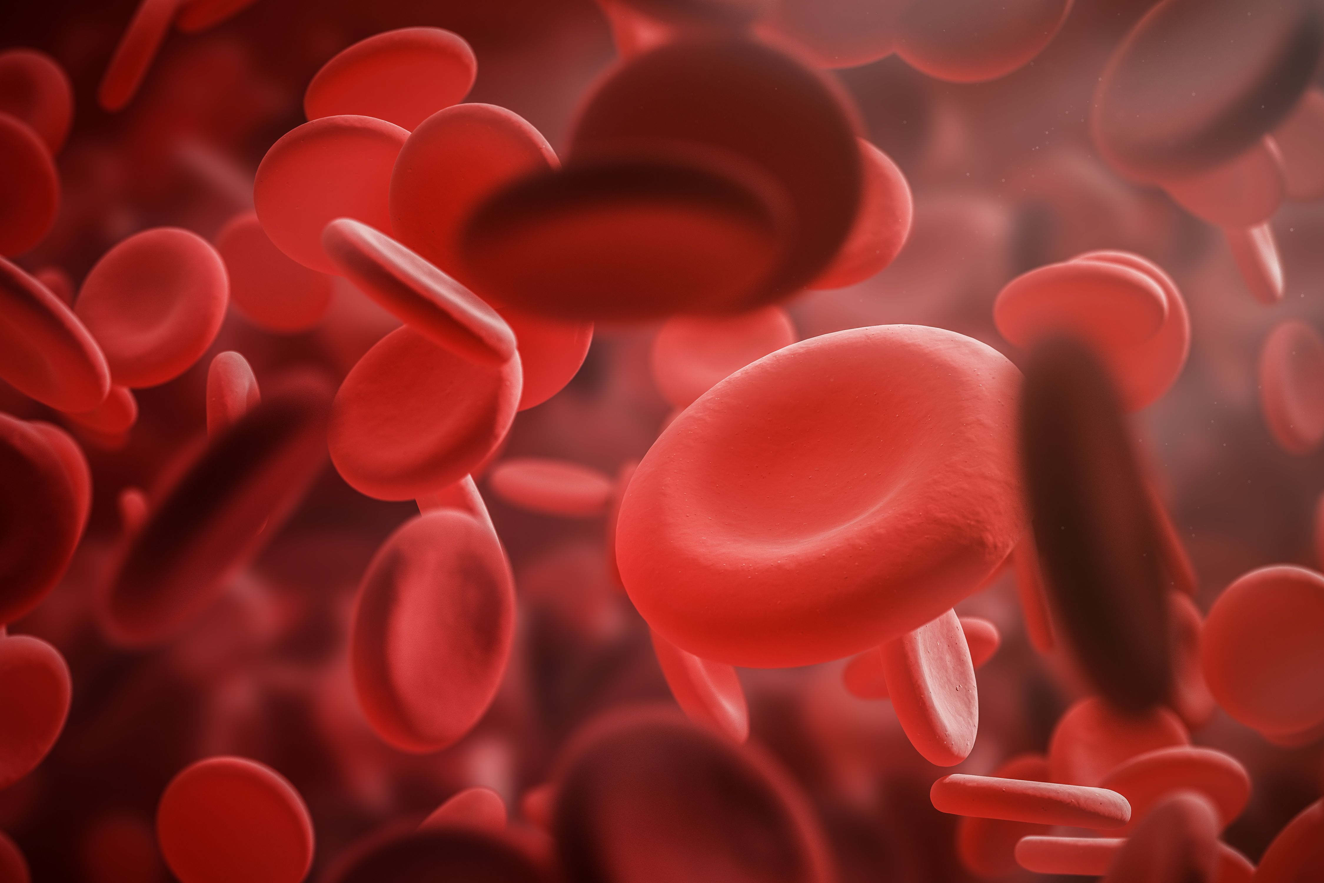 Despite treatment, some patients with PNH still experience anemia | image credit: ImageFlow - stock.adobe.com