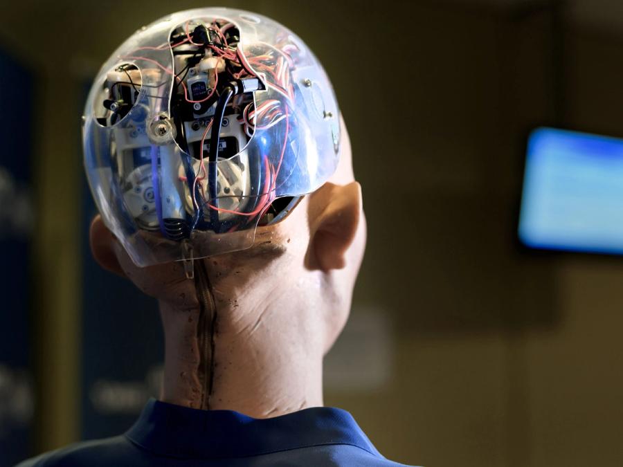 A back view of Sophia's head highlights the translucent covering to her head, which shows it is packed with electronics.