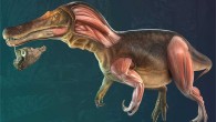 Life reconstruction of Iberospinus natarioi. Image credit: Victor Feijó de Carvalho.