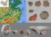 The site locations and artifacts of the Shangshan culture: (A) locations of the Shangshan, Qiaotou, and Xiaohuangshan sites (dots) and the distribution area of the Shangshan culture (red circle); (B) selected pottery sherds analyzed: 1 - cup sherd; 2 - jar sherd; 3 - jar sherd; 4 - rim sherd from sand-tempered cooking pot; 5 - large basin sherd; 6 - base of the ring foot bowl; (C) corresponding complete vessels: 1 - globular jar; 2 - ring foot bowl; 3 - cup; 4 - flat-based jar; 5 - large basin. Image credit: Liu et al., doi: 10.1073/pnas.2412274121.