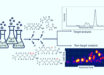 Labrys portucalensis F11 can be potentially used for PFAS biodegradation in contaminated environments. Image credit: Wijayahena et al., doi: 10.1016/j.scitotenv.2024.178348.