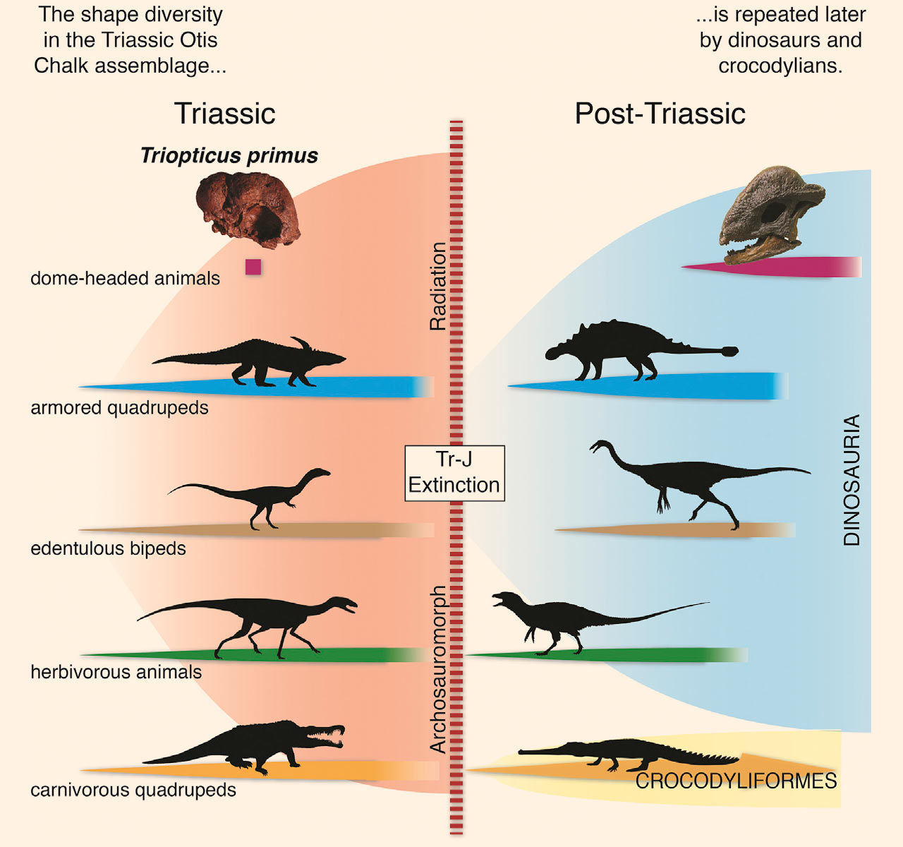 Top 168 + Triassic period animals - Lestwinsonline.com