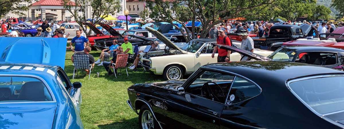 cars and people in park, some have hoods up