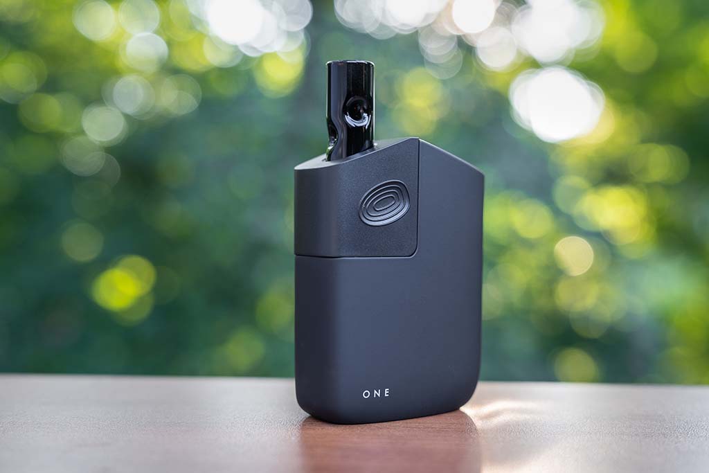 Best Vaporizer Under $100: potv one