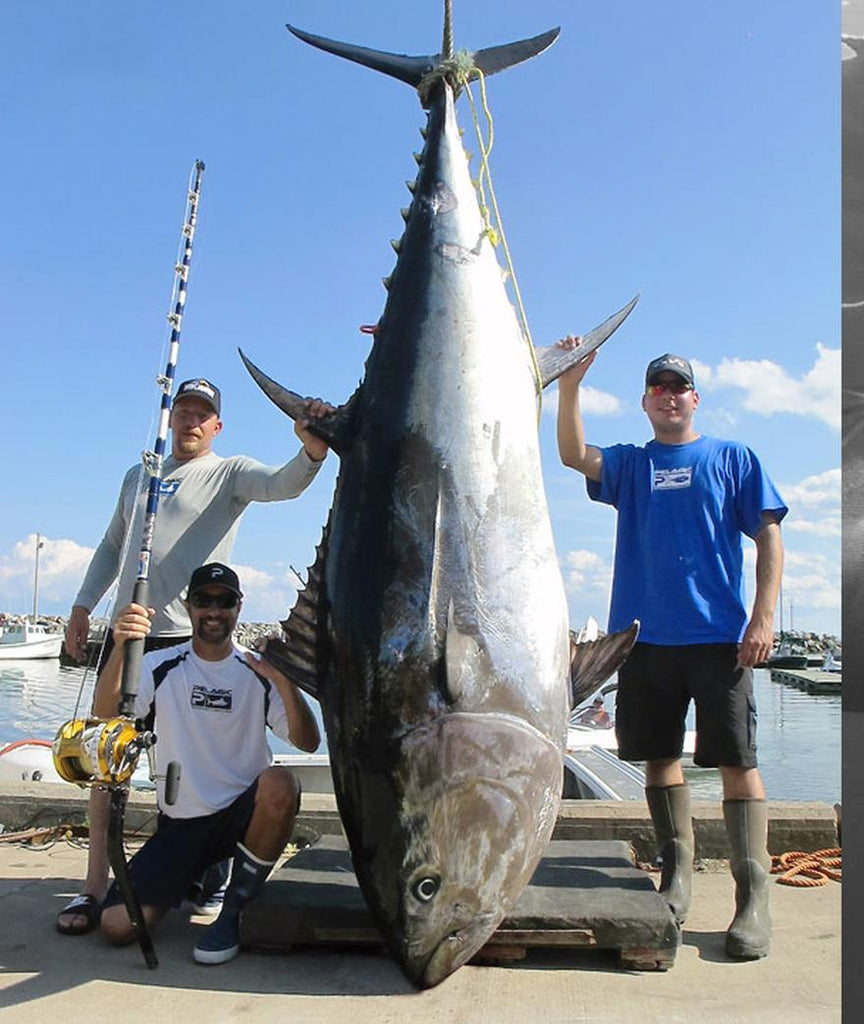 Giant Bluefin Tuna Fishing