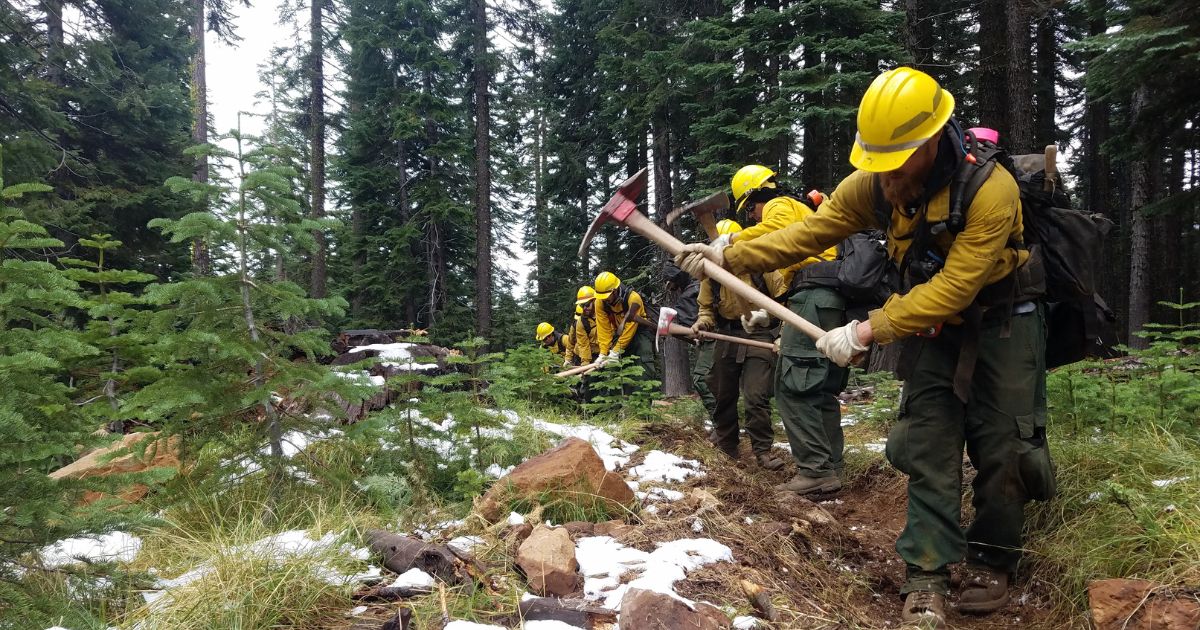 loggers in the forest with axes