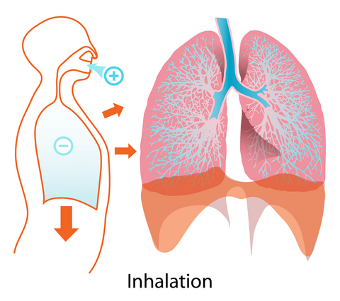 Keep your chest relaxed while practicing diaphragmatic breathing.