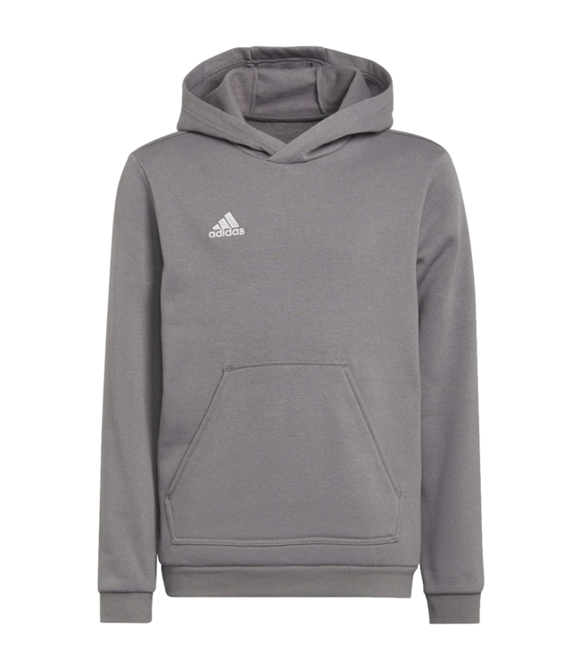 Adidas ENTRADA 22 HOODY YOUTH (GRAY)