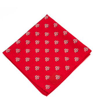 Eagles Wings Ohio State Buckeyes Pocket Square