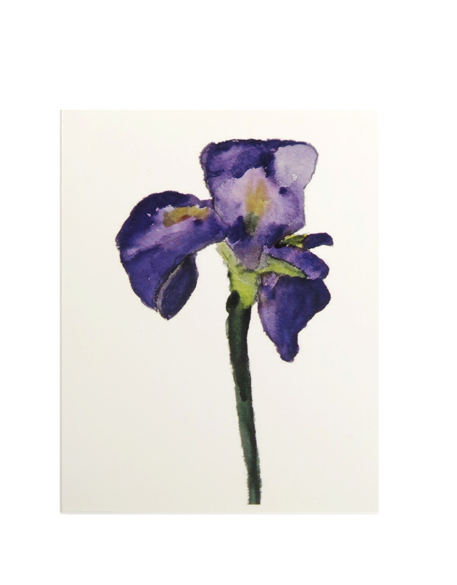 Purple Iris Greeting Card by Michele Williams