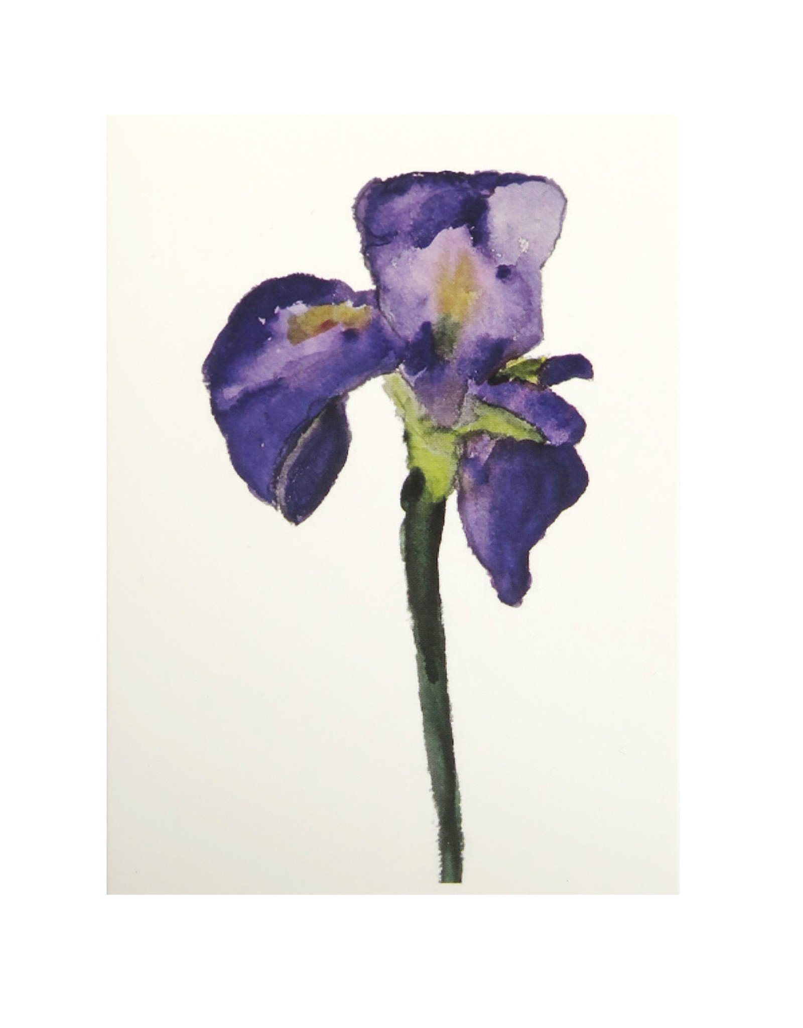 Purple Iris Greeting Card by Michele Williams