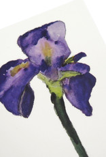 Purple Iris Greeting Card by Michele Williams