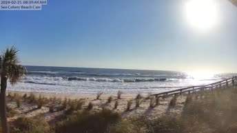 Live Cam Sea Colony Beach - Delaware